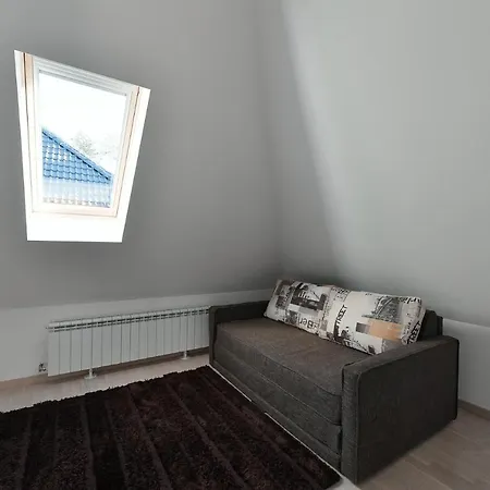 Tijana Apartment Zlatibor