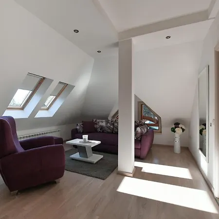 Apartment Tijana Zlatibor